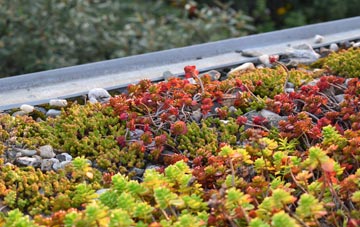 the cost of West Moors green roof installation