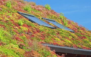 West Moors living roof systems